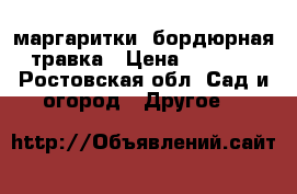 маргаритки. бордюрная травка › Цена ­ 10-50 - Ростовская обл. Сад и огород » Другое   
